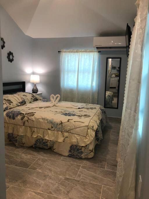 New Luxurious Studio Private In The Heart Of מיאמי מראה חיצוני תמונה