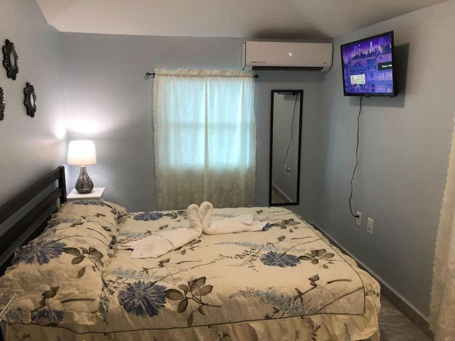 New Luxurious Studio Private In The Heart Of מיאמי מראה חיצוני תמונה
